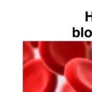 Human blood cells, Italian blood cells