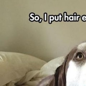Just A Dog Rocking Hair Extensions...