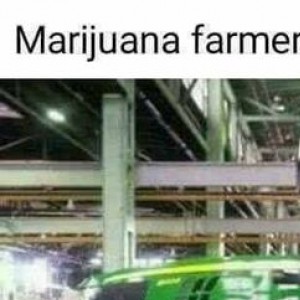 marijuana farmers