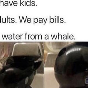 Money Whale Spent
