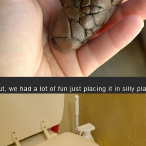 Pranking Your Friend With A Fake Poo