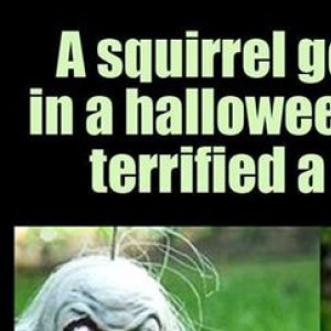 Scary Squirrel