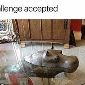 Stupid Challenge Accepted