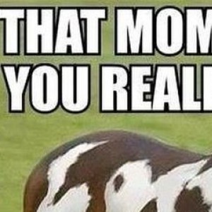 That Moment When You Realise It Spells Horse