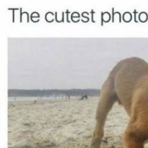 The Cutest Photobomb Of All Time