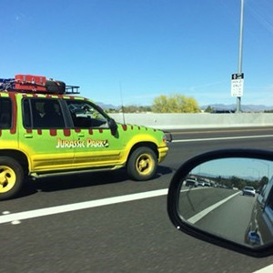 The Things You See on the Highway