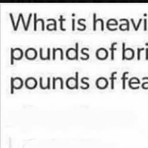 What's Heavier?