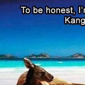 When A Kangaroo Has A Better Life Than You