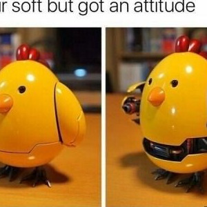 When You're Soft But Have Attitude