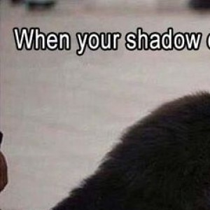When Your Shadow Comes Alive