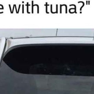Why Shame Tuna?
